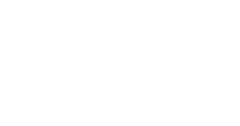LowLatency Telecom Logo